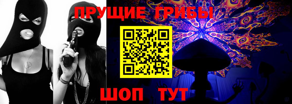 Фрязино  Псилоцибиновые грибы мухоморы  Вход с VPN 